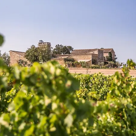 Domaine Sainte Suzanne 住宿加早餐酒店 4*