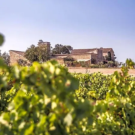 Domaine Sainte Suzanne