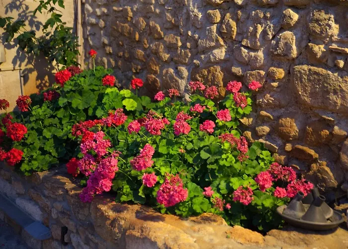 Domaine Sainte Suzanne Couette-café